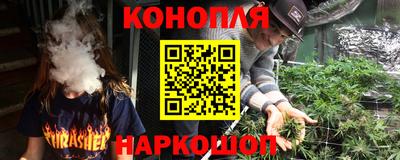 PSILOCYBIN Можга