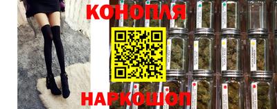 PSILOCYBIN Можга