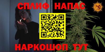гидра Нарткала