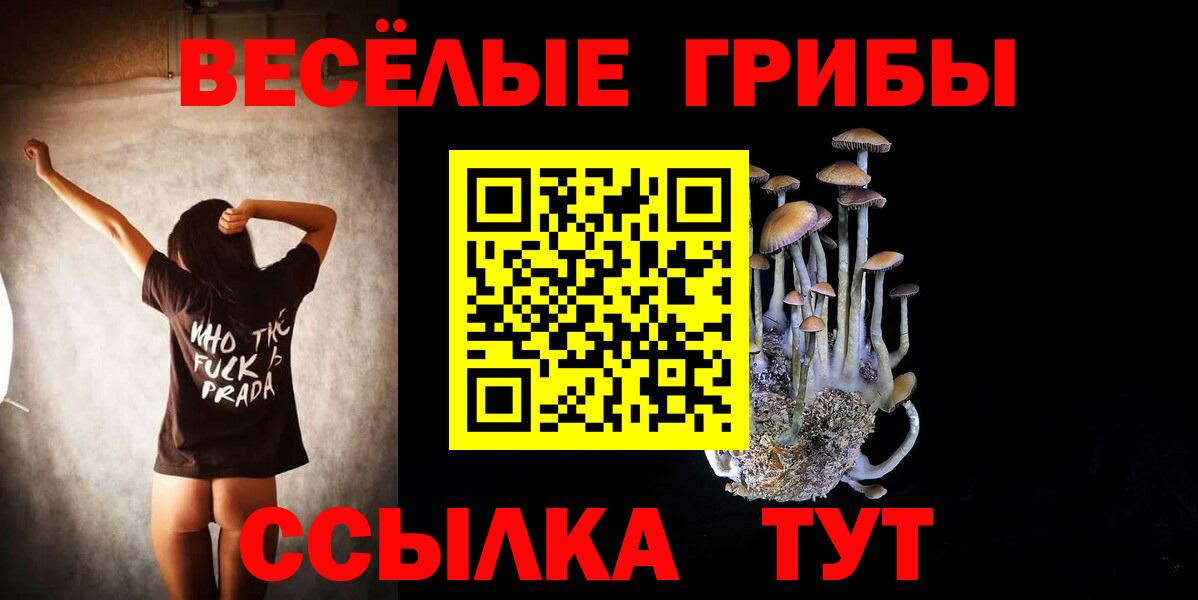 Черняховск  Псилоцибиновые грибы GOLDEN TEACHER  где купить наркоту  Вход с VPN  Псилоцибиновые грибы мухоморы 